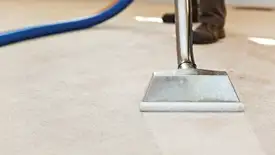 Carpet cleaning wand head gliding over a light carpet during hot-water extraction, Tucson, AZ.